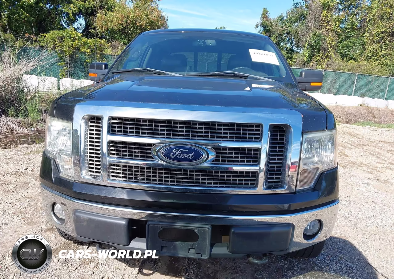 2010 Ford F-150 Fx4-Harley-Davidson-King Ranch-Lariat-Platinum-Xl-Xlt VIN:1FTFW1EV9AFD55766 - 12