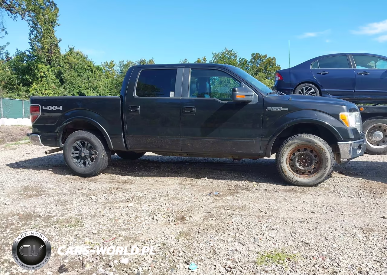 2010 Ford F-150 Fx4-Harley-Davidson-King Ranch-Lariat-Platinum-Xl-Xlt VIN:1FTFW1EV9AFD55766 - 13