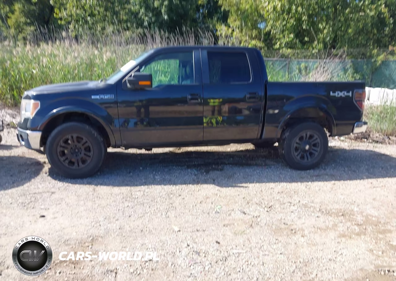 2010 Ford F-150 Fx4-Harley-Davidson-King Ranch-Lariat-Platinum-Xl-Xlt VIN:1FTFW1EV9AFD55766 - 14