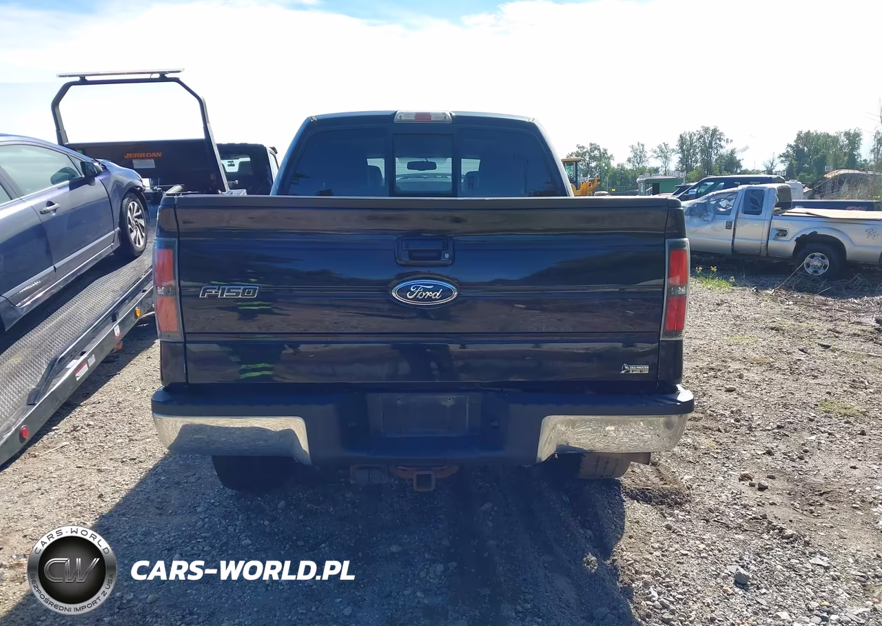 2010 Ford F-150 Fx4-Harley-Davidson-King Ranch-Lariat-Platinum-Xl-Xlt VIN:1FTFW1EV9AFD55766 - 16
