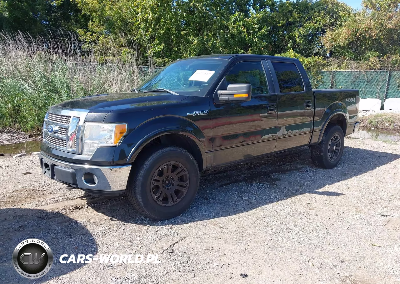 2010 Ford F-150 Fx4-Harley-Davidson-King Ranch-Lariat-Platinum-Xl-Xlt VIN:1FTFW1EV9AFD55766 - 2