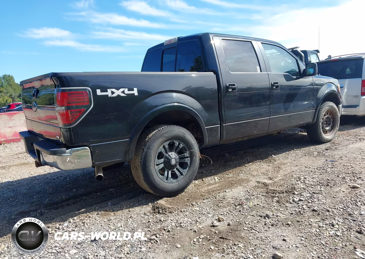 2010 Ford F-150 Fx4-Harley-Davidson-King Ranch-Lariat-Platinum-Xl-Xlt VIN:1FTFW1EV9AFD55766 - 4