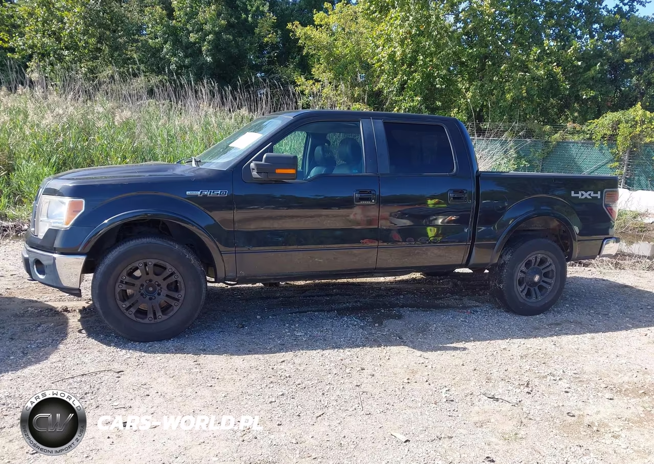 2010 Ford F-150 Fx4-Harley-Davidson-King Ranch-Lariat-Platinum-Xl-Xlt VIN:1FTFW1EV9AFD55766 - 6