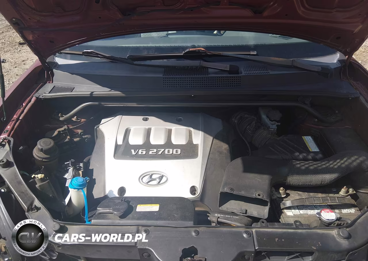 2005 Hyundai Tucson Gls-Lx VIN:KM8JN72D25U061117 - 10