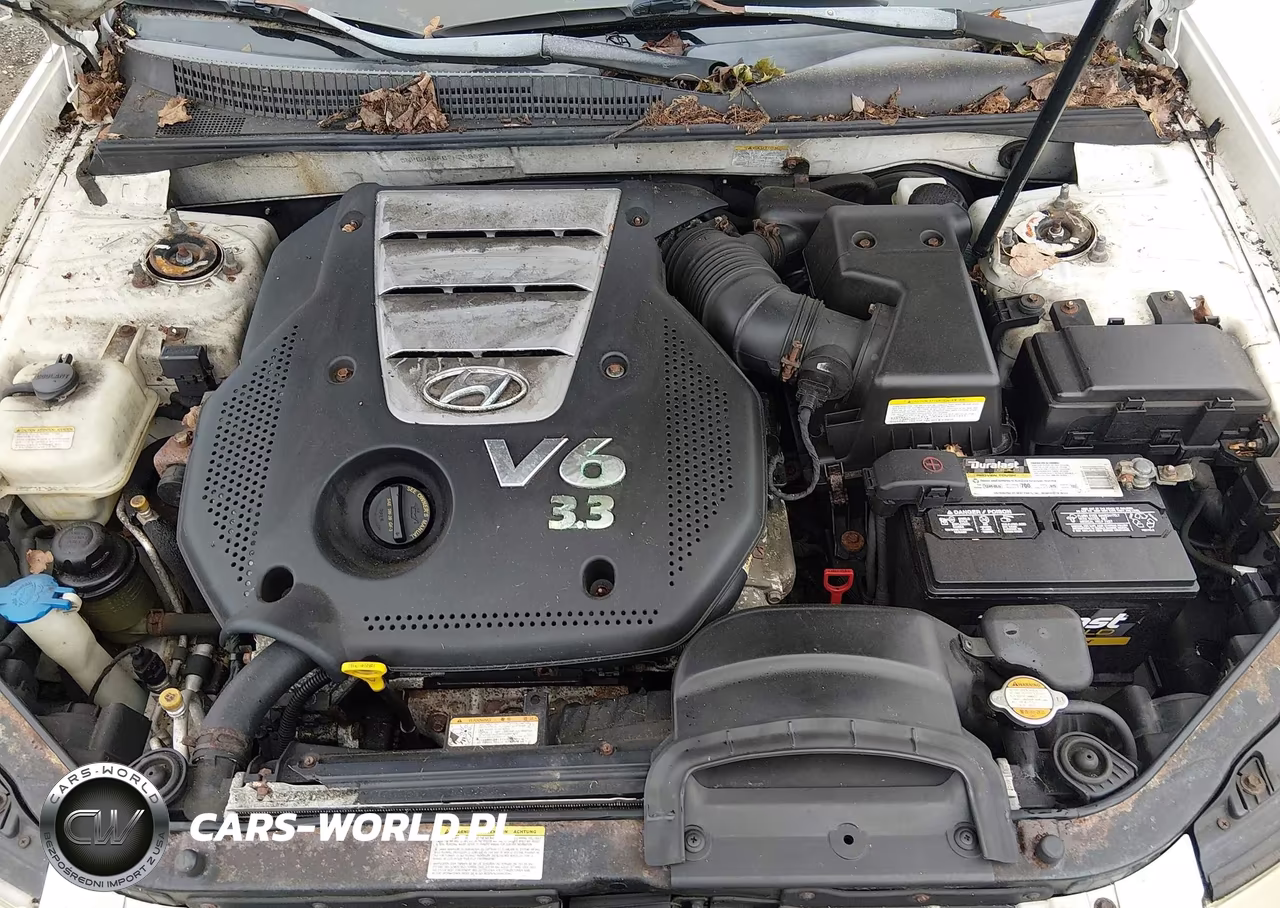 2007 Hyundai Sonata Limited-Se V6 VIN:5NPEU46F07H280688 - 10