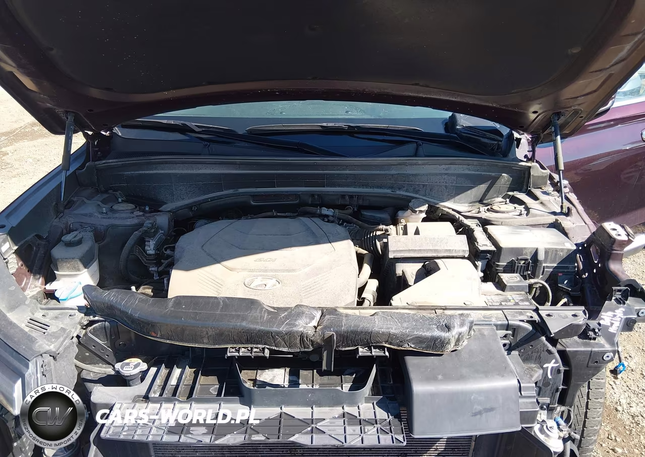 2024 Hyundai Palisade Sel VIN:KM8R4DGEXRU765741 - 10