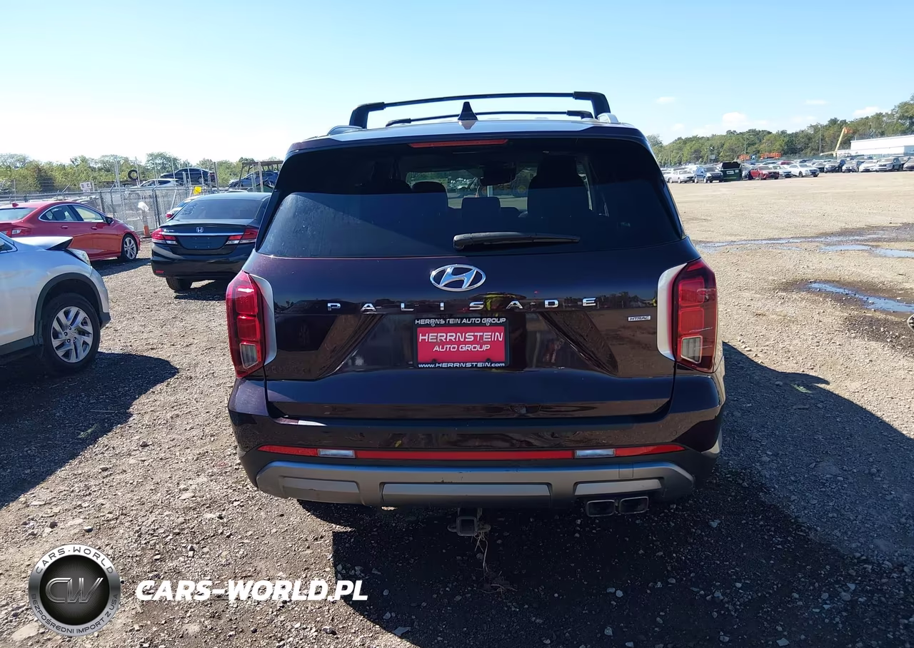 2024 Hyundai Palisade Sel VIN:KM8R4DGEXRU765741 - 17