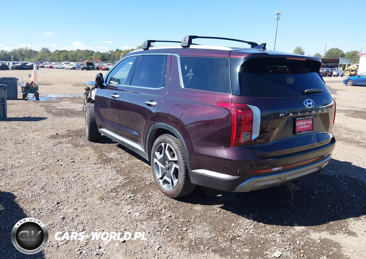 2024 Hyundai Palisade Sel VIN:KM8R4DGEXRU765741 - 3