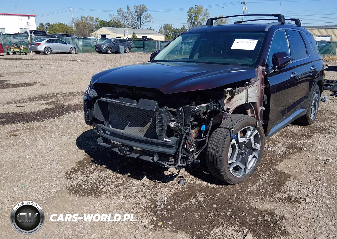 2024 Hyundai Palisade Sel VIN:KM8R4DGEXRU765741 - 6