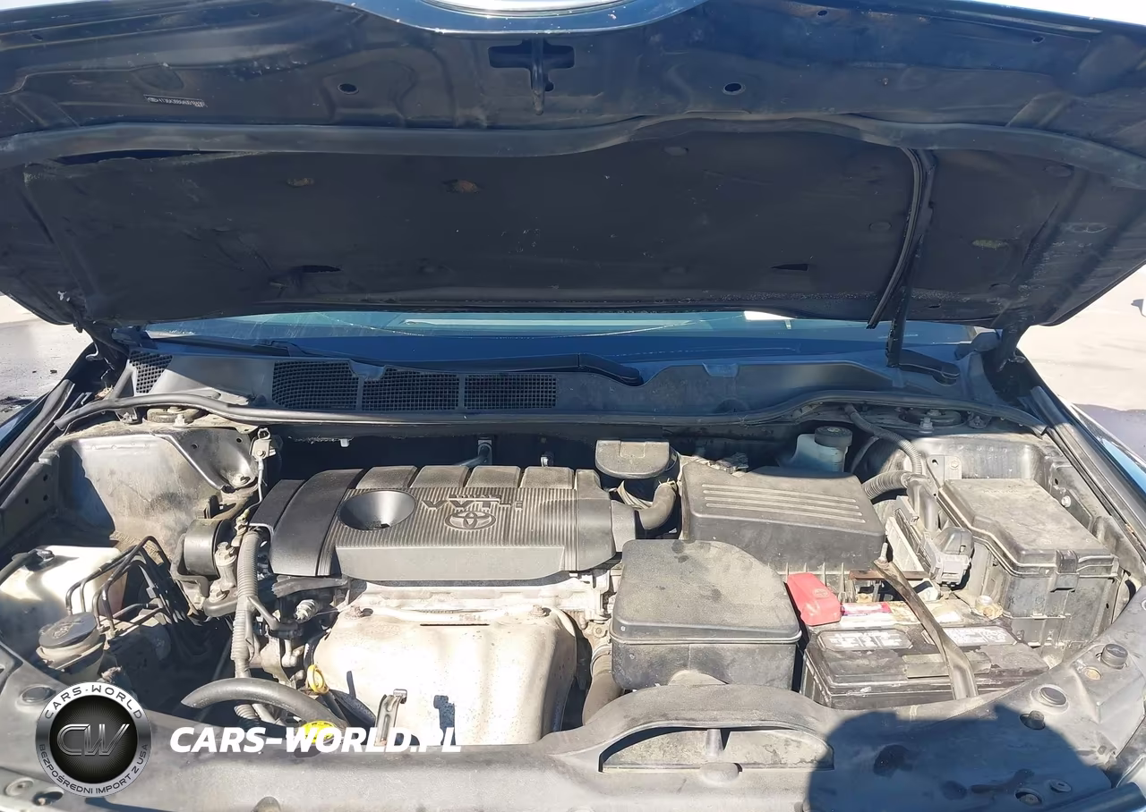2010 Toyota Venza VIN:4T3BA3BB6AU018490 - 10