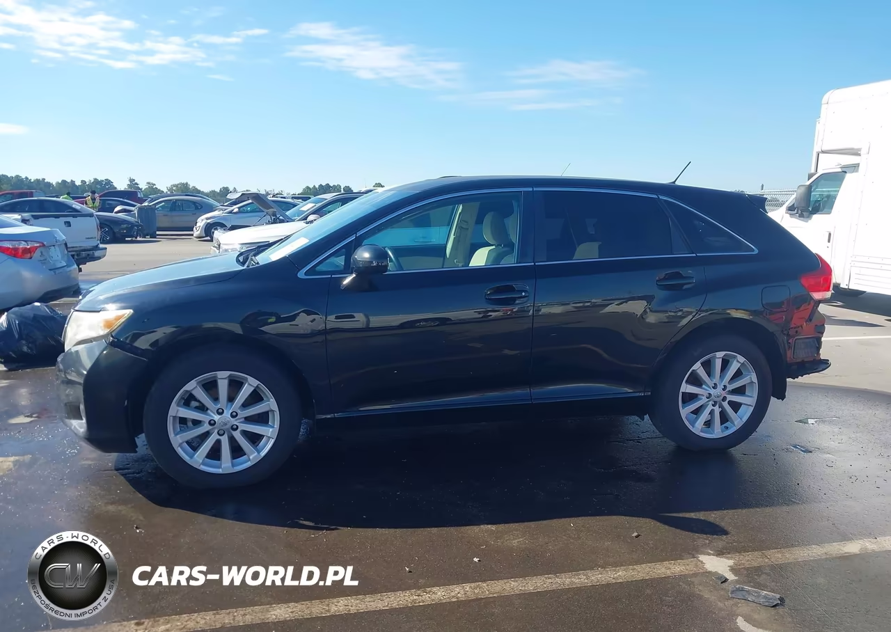 2010 Toyota Venza VIN:4T3BA3BB6AU018490 - 15
