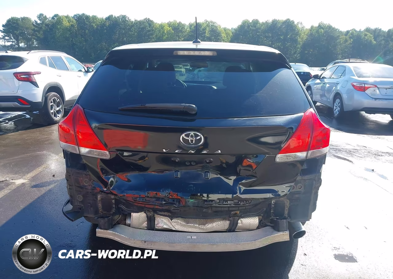 2010 Toyota Venza VIN:4T3BA3BB6AU018490 - 17
