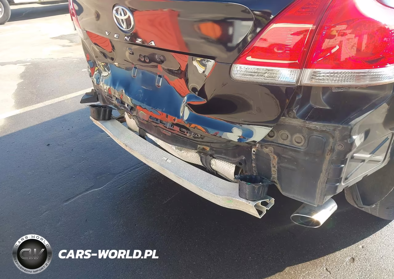 2010 Toyota Venza VIN:4T3BA3BB6AU018490 - 19