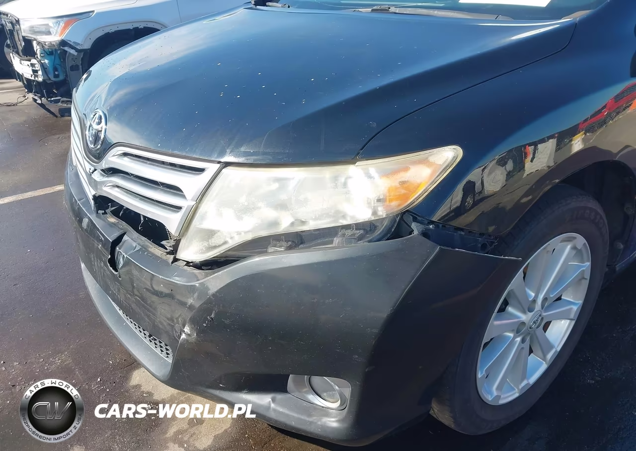 2010 Toyota Venza VIN:4T3BA3BB6AU018490 - 22