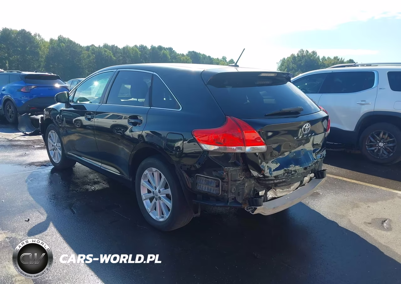 2010 Toyota Venza VIN:4T3BA3BB6AU018490 - 3