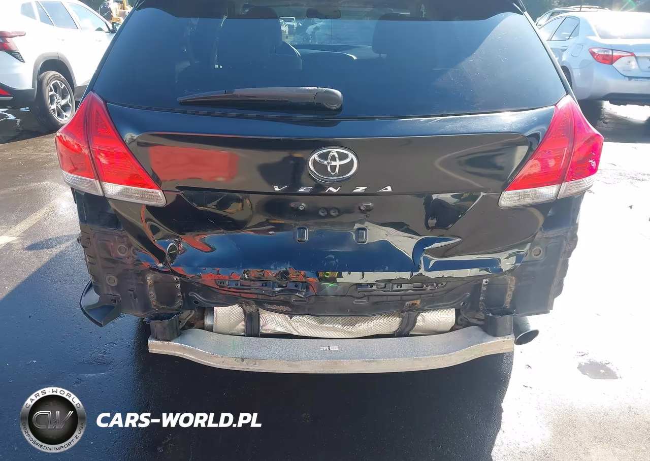 2010 Toyota Venza VIN:4T3BA3BB6AU018490 - 6
