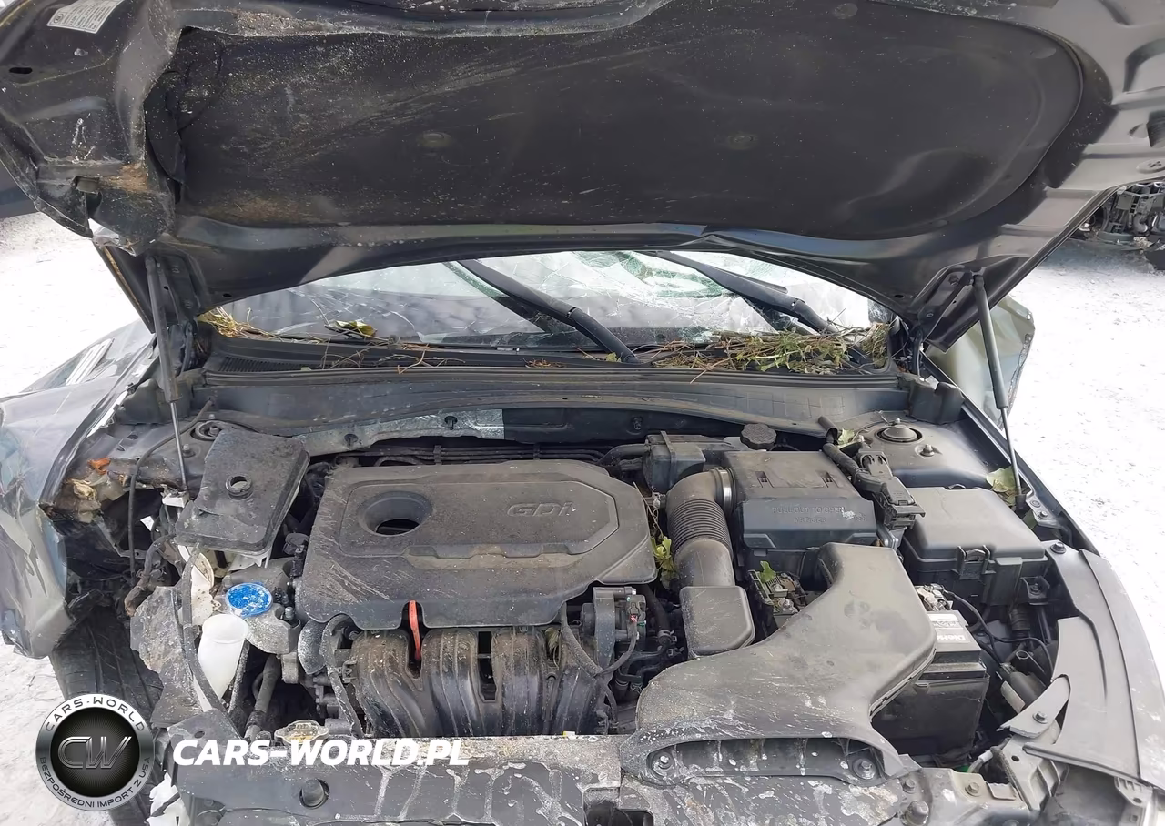 2019 Kia Optima S VIN:5XXGT4L32KG304922 - 10
