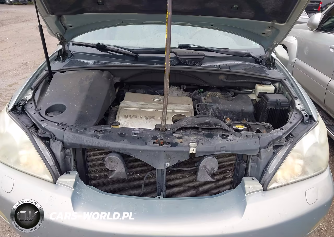 2005 Lexus Rx 330 VIN:2T2HA31UX5C086073 - 10