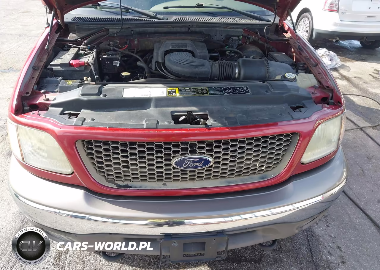 2003 Ford F-150 Lariat-Xl-Xlt-Xlt Heritage VIN:2FTRX18L53CA99791 - 10