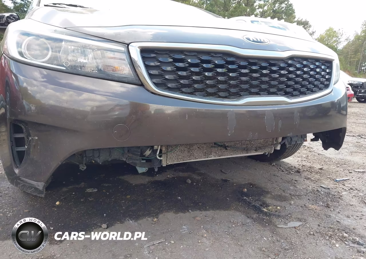 2017 Kia Forte Lx VIN:3KPFL4A75HE012667 - 6