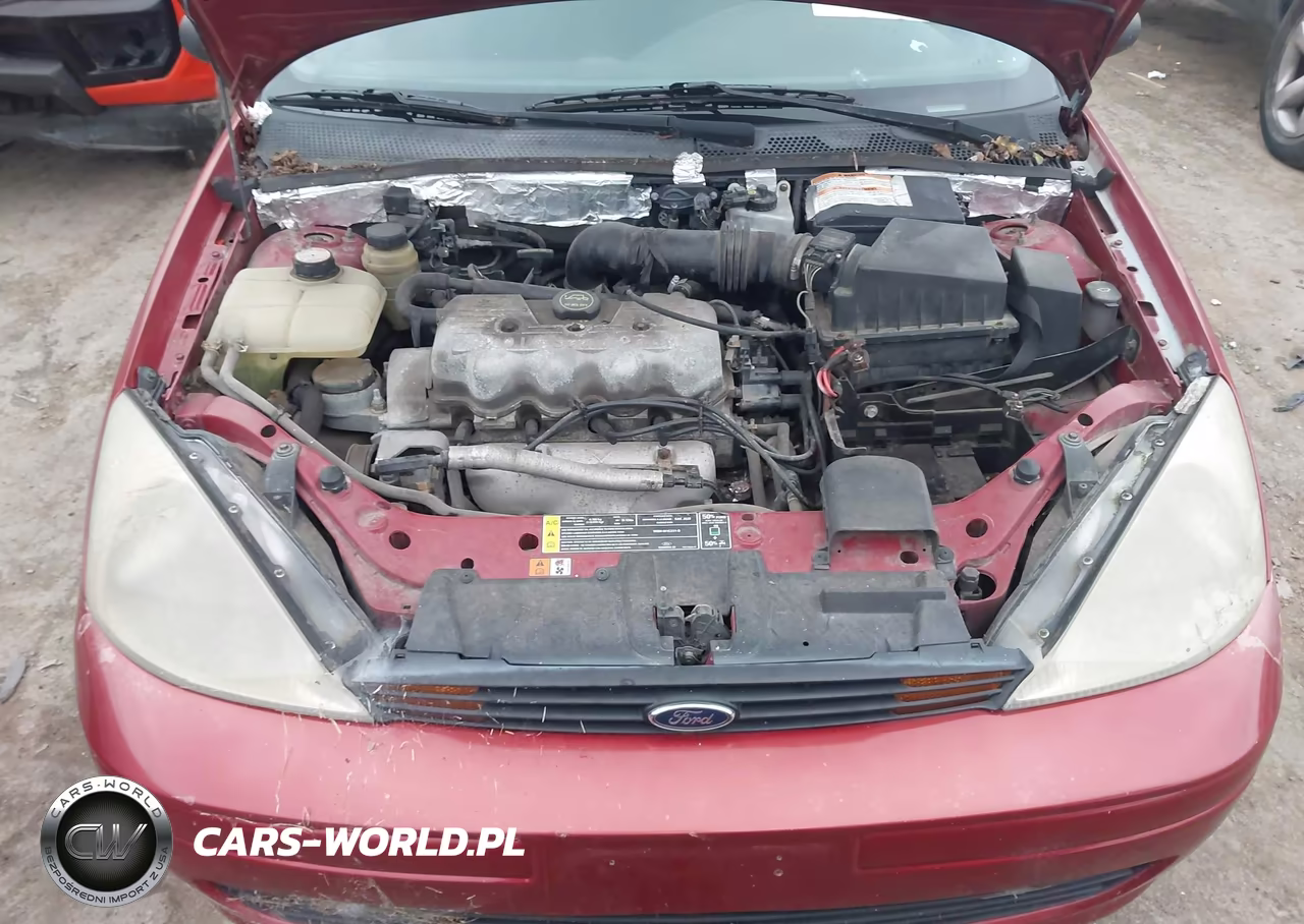 2001 Ford Focus VIN:1FAFP33P31W130696 - 10