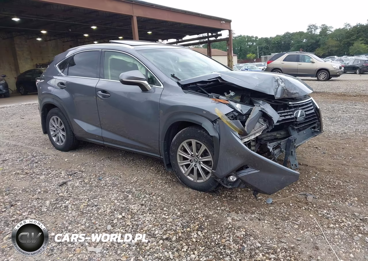 2019 Lexus Nx 300 VIN:JTJBARBZ9K2184509 - 1