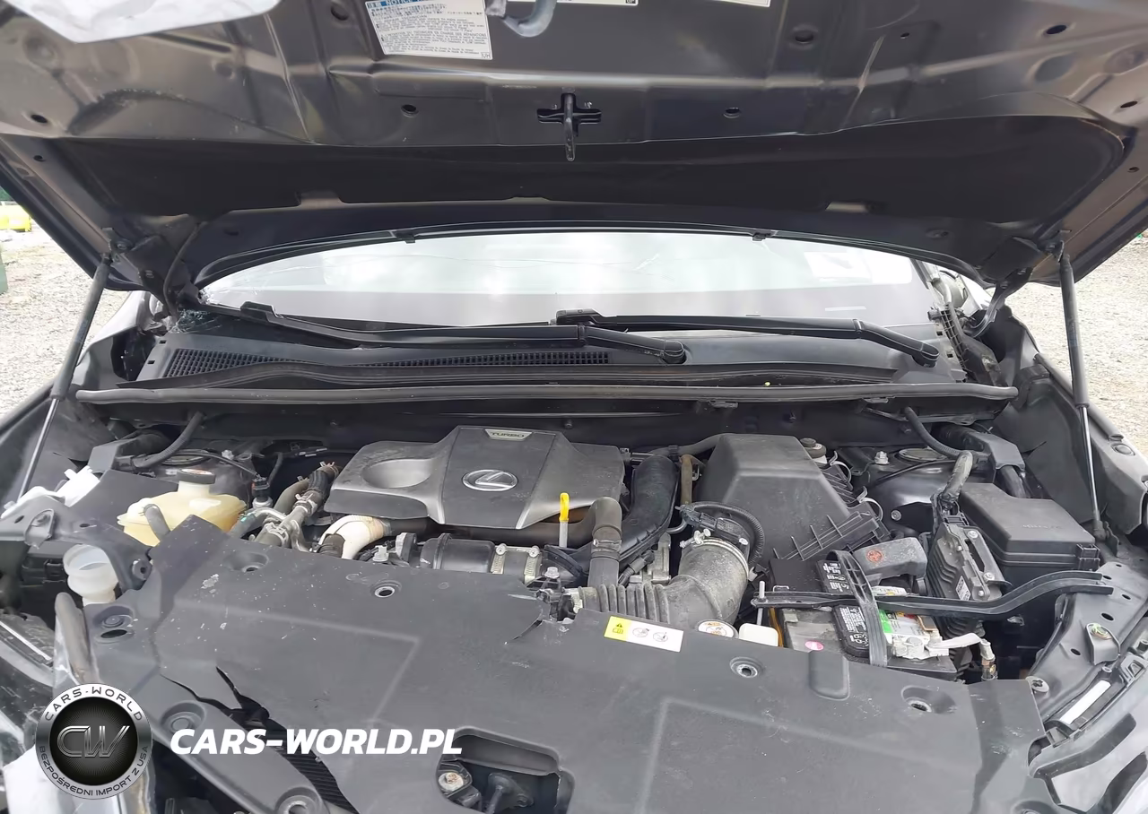 2019 Lexus Nx 300 VIN:JTJBARBZ9K2184509 - 10