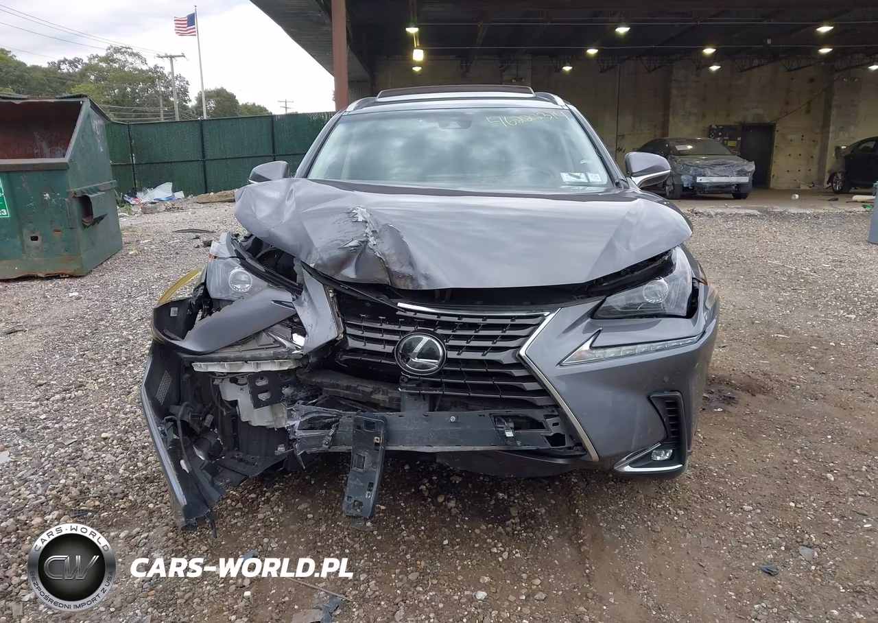 2019 Lexus Nx 300 VIN:JTJBARBZ9K2184509 - 12