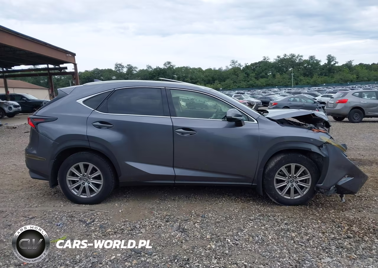 2019 Lexus Nx 300 VIN:JTJBARBZ9K2184509 - 13