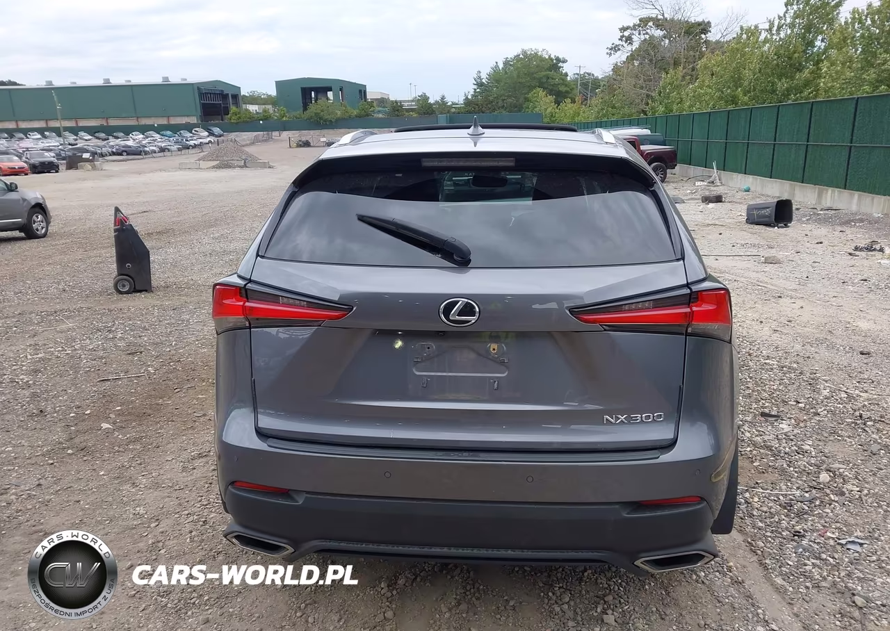 2019 Lexus Nx 300 VIN:JTJBARBZ9K2184509 - 16