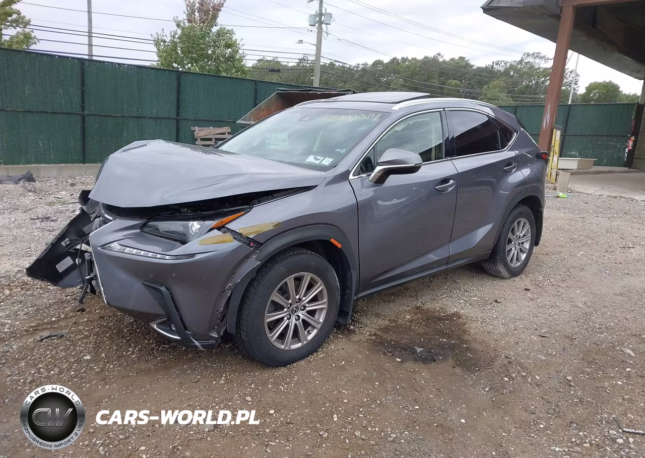 2019 Lexus Nx 300 VIN:JTJBARBZ9K2184509 - 2