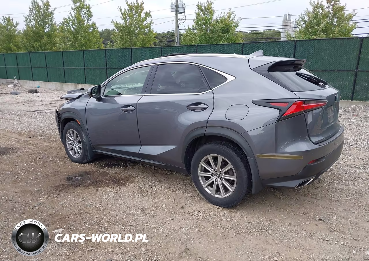 2019 Lexus Nx 300 VIN:JTJBARBZ9K2184509 - 3