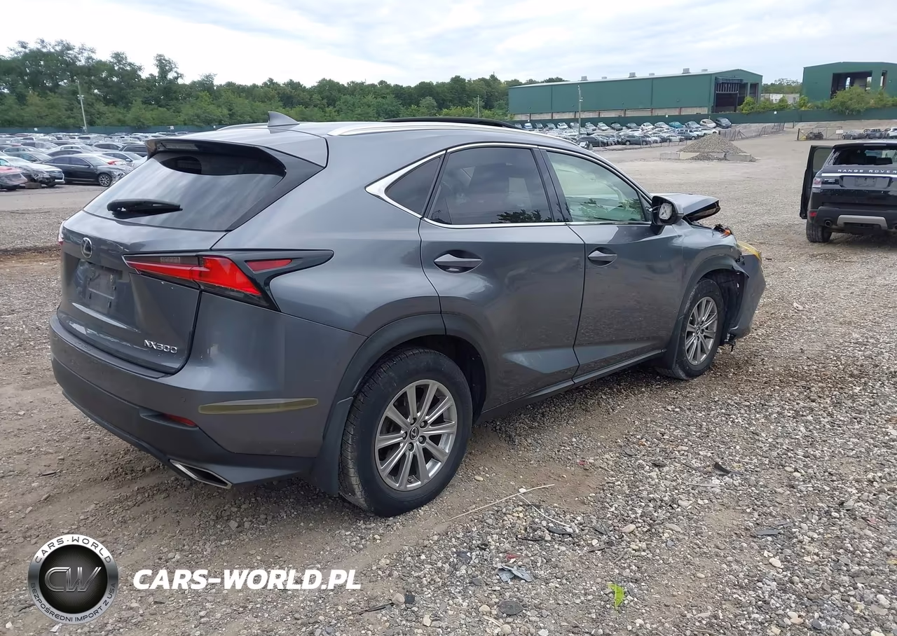 2019 Lexus Nx 300 VIN:JTJBARBZ9K2184509 - 4