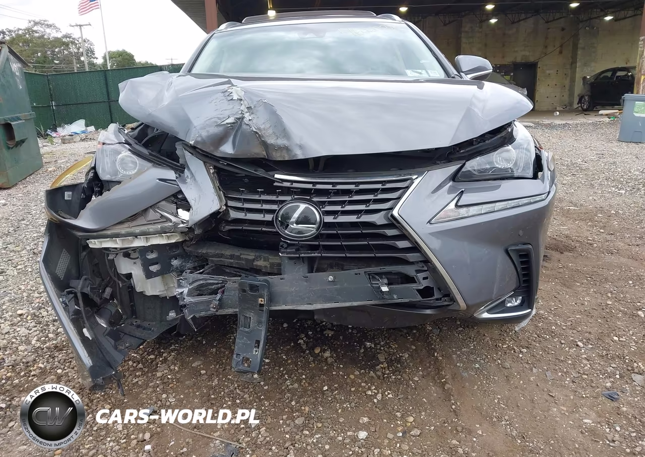2019 Lexus Nx 300 VIN:JTJBARBZ9K2184509 - 6