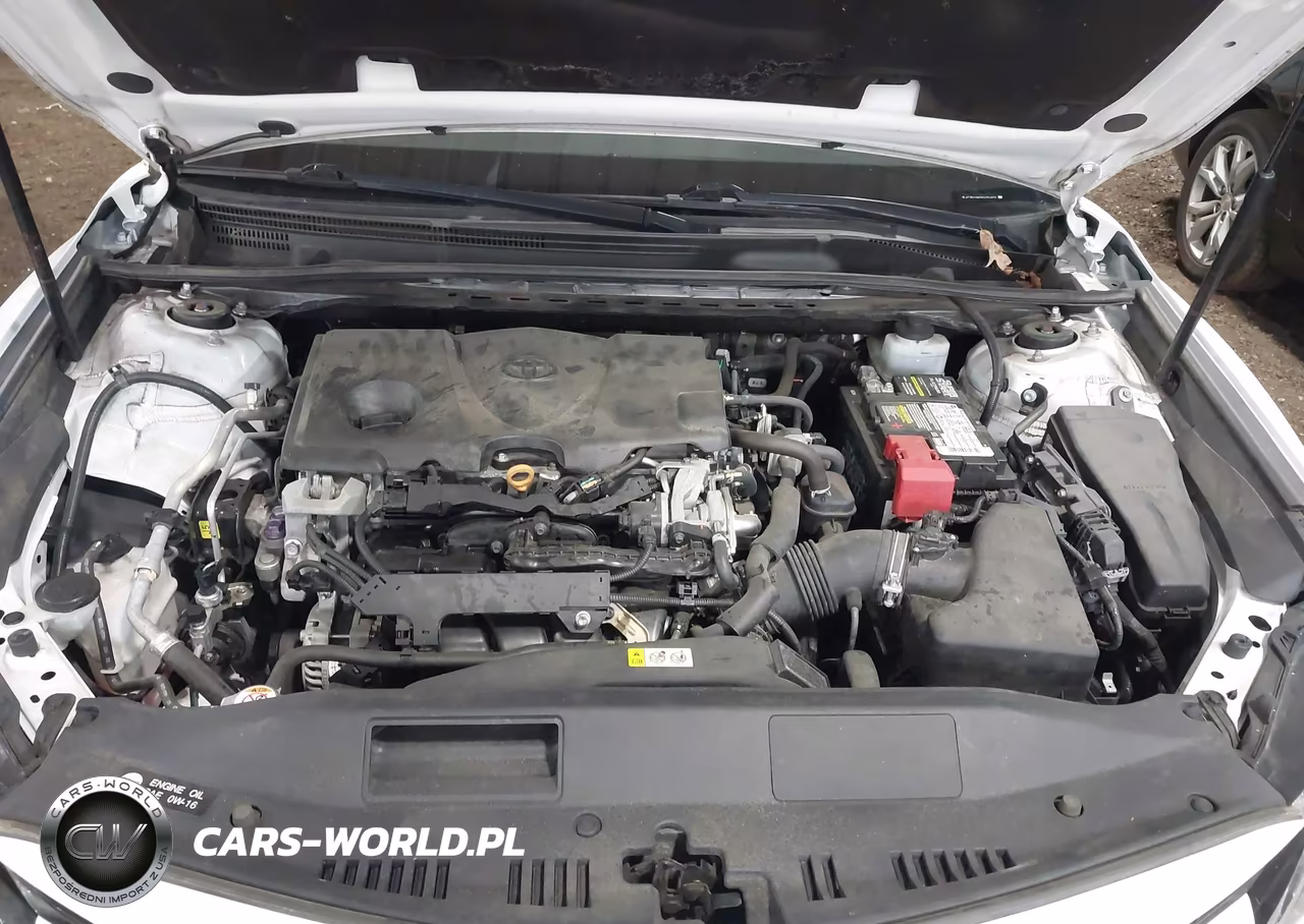 2019 Toyota Camry Le VIN:4T1B11HK0KU174823 - 10