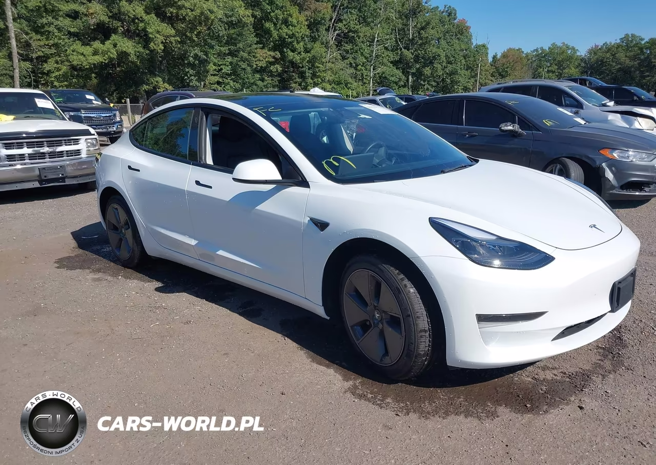 2023 Tesla Model 3 Rear-Wheel Drive