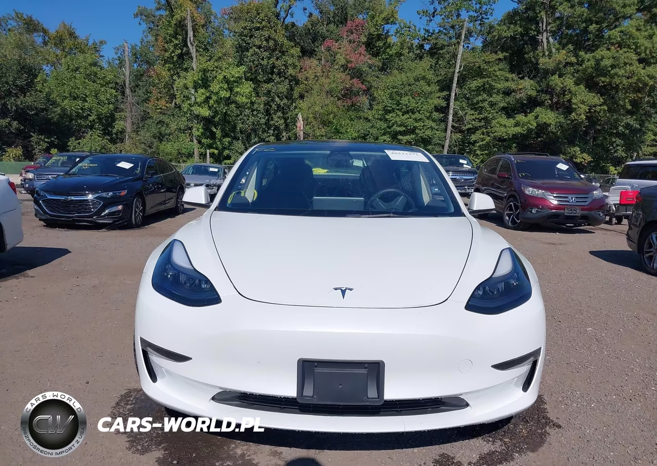 2023 Tesla Model 3 Rear-Wheel Drive VIN:5YJ3E1EA9PF420437 - 12