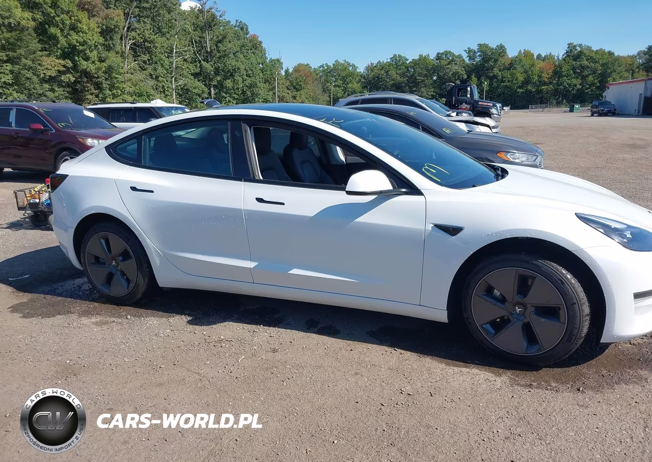 2023 Tesla Model 3 Rear-Wheel Drive VIN:5YJ3E1EA9PF420437 - 13