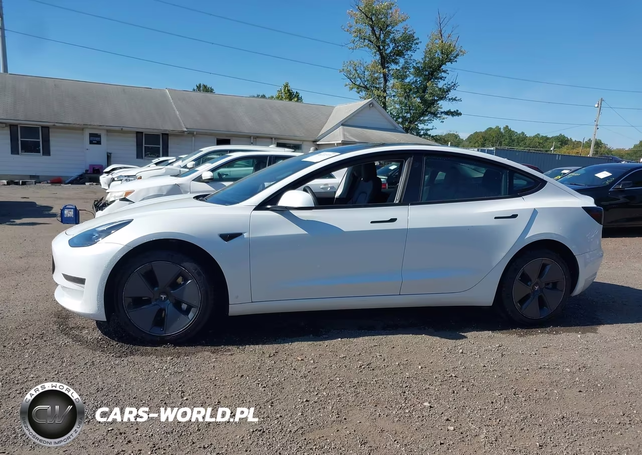 2023 Tesla Model 3 Rear-Wheel Drive VIN:5YJ3E1EA9PF420437 - 14