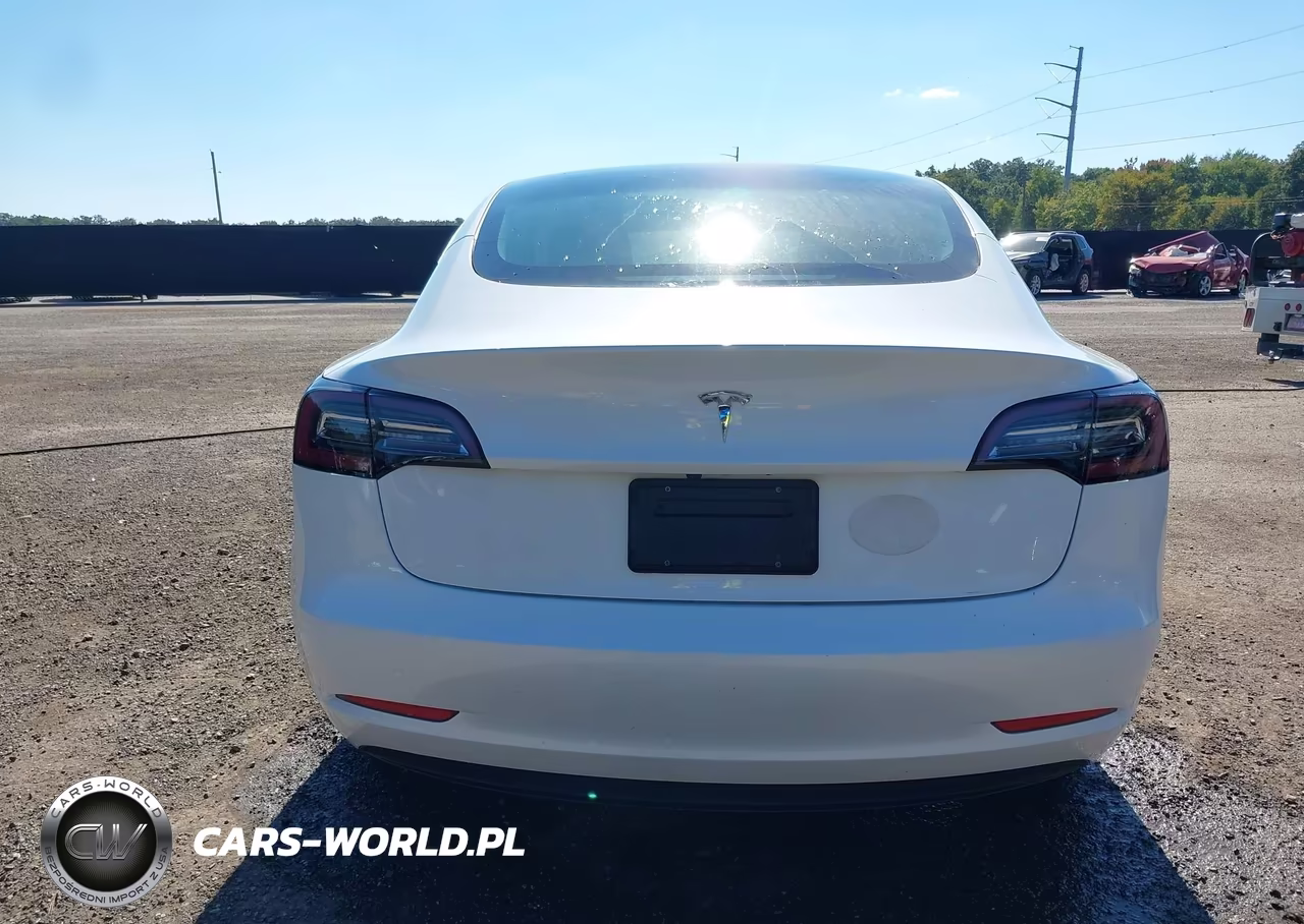 2023 Tesla Model 3 Rear-Wheel Drive VIN:5YJ3E1EA9PF420437 - 16