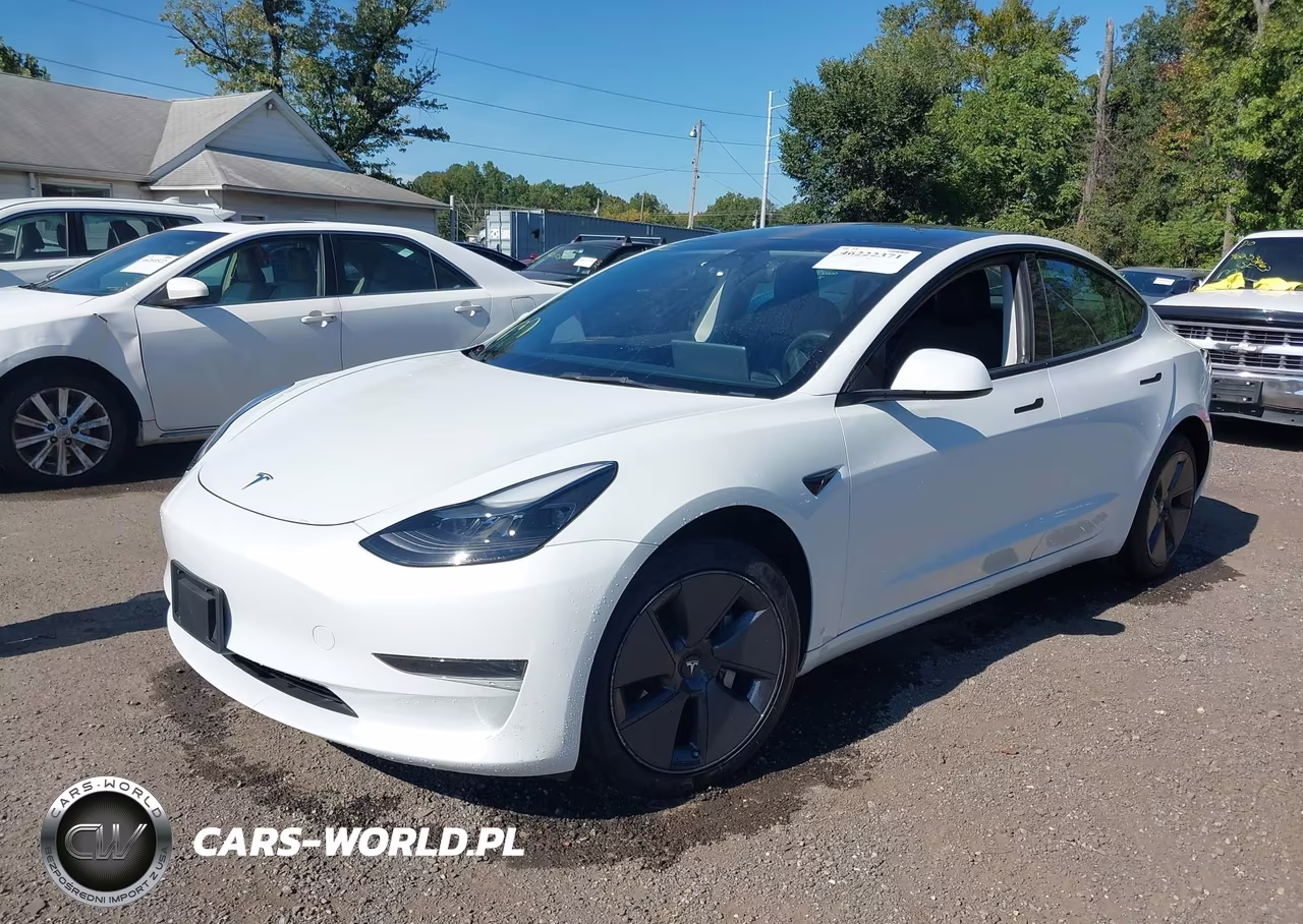 2023 Tesla Model 3 Rear-Wheel Drive VIN:5YJ3E1EA9PF420437 - 2