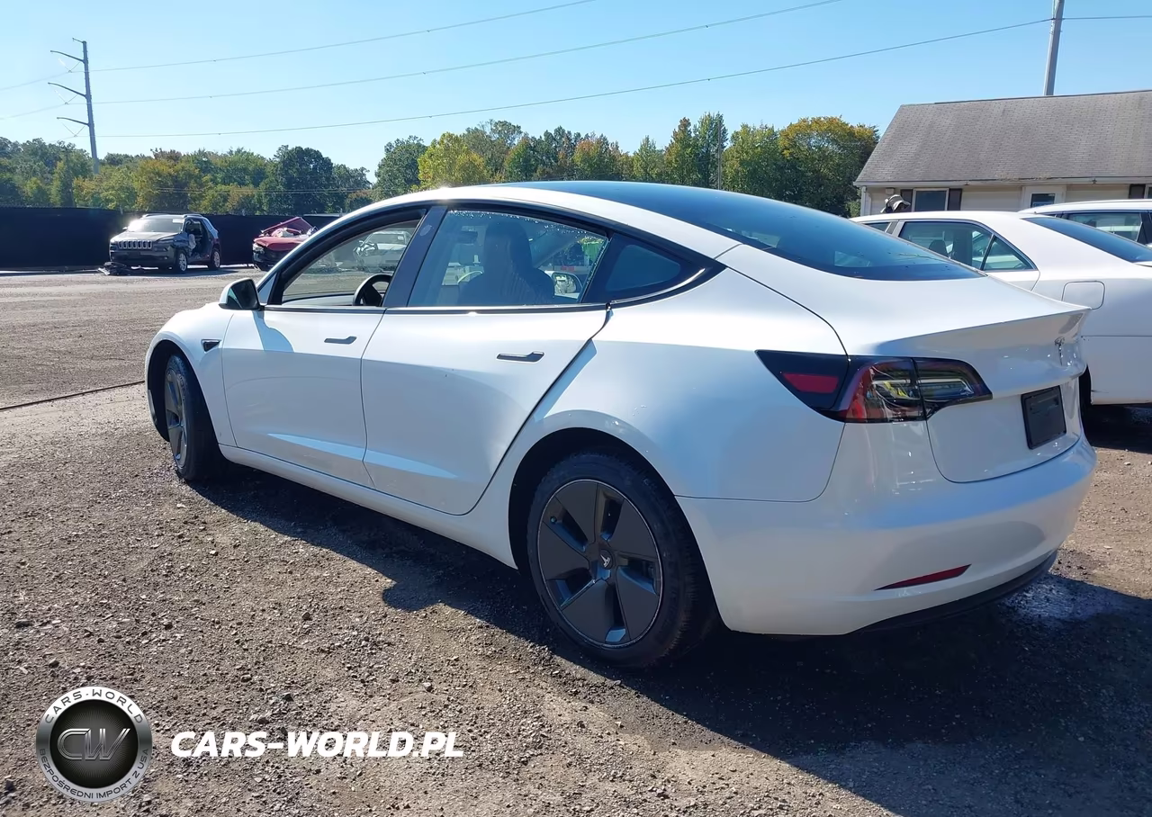 2023 Tesla Model 3 Rear-Wheel Drive VIN:5YJ3E1EA9PF420437 - 3