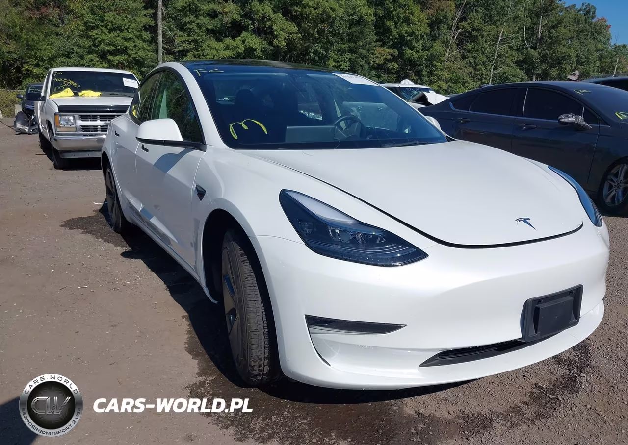 2023 Tesla Model 3 Rear-Wheel Drive VIN:5YJ3E1EA9PF420437 - 6
