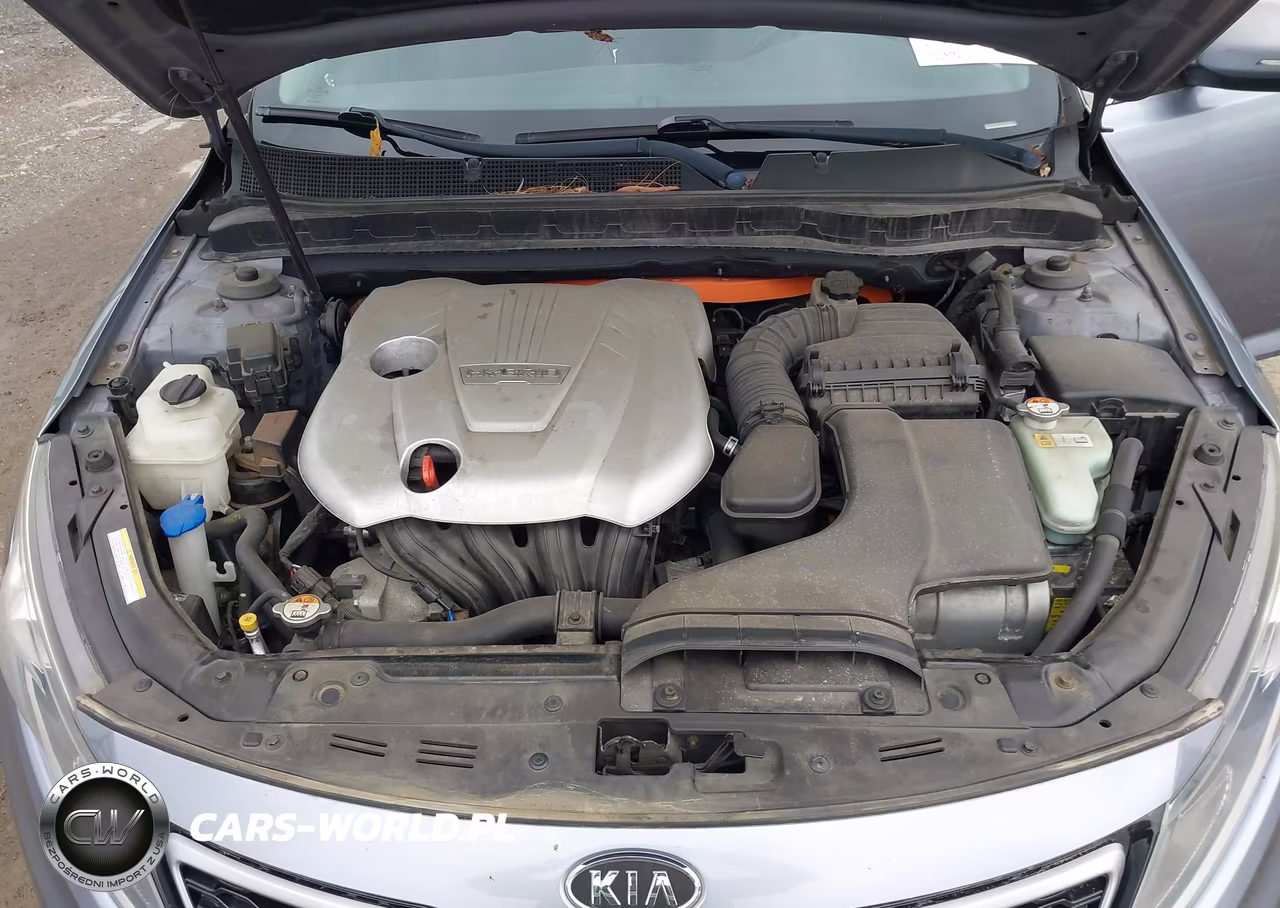 2011 Kia Optima Hybrid Ex VIN:KNAGM4AD3B5004994 - 10