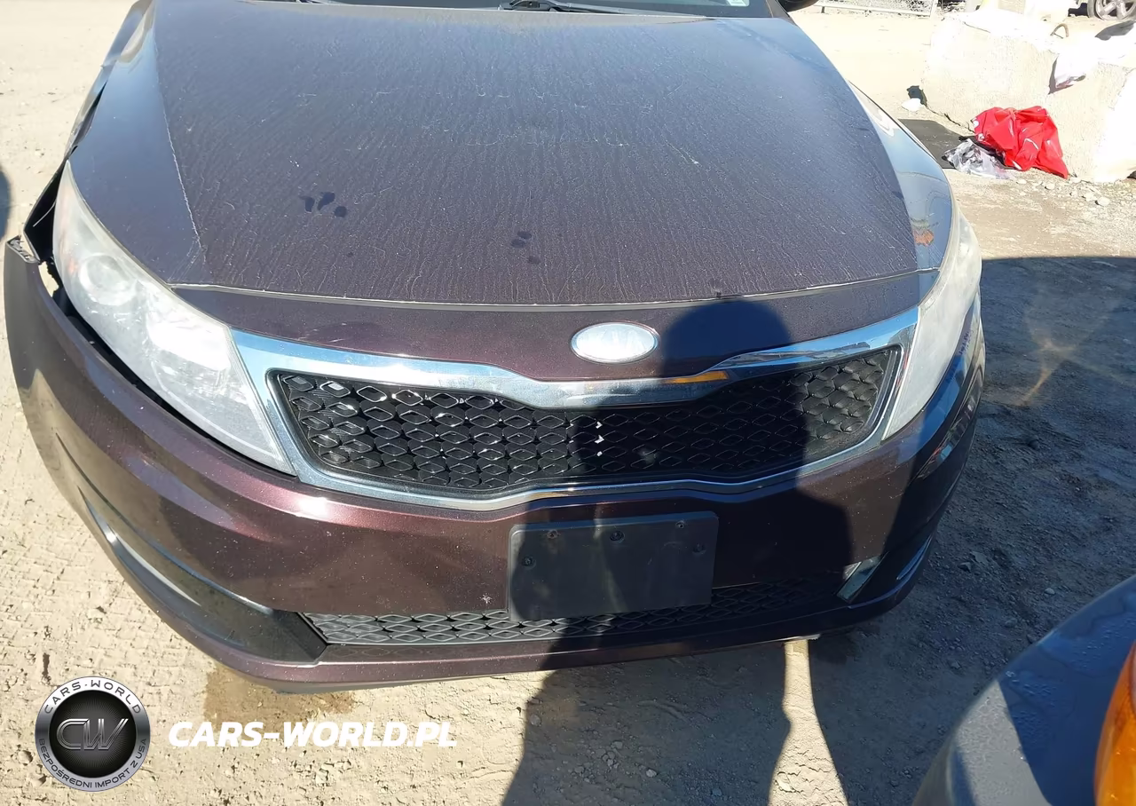 2013 Kia Optima Ex VIN:5XXGN4A77DG218539 - 12
