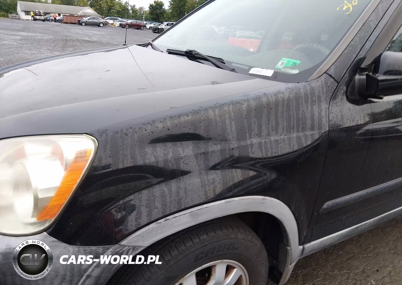 2005 Honda Cr-V Ex VIN:JHLRD78865C062901 - 6