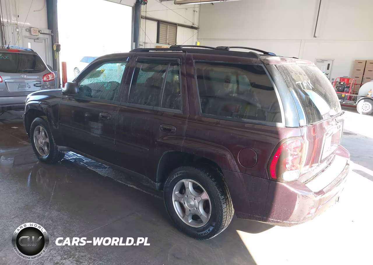 2009 Chevrolet Trailblazer Lt VIN:1GNDS33S892117649 - 3
