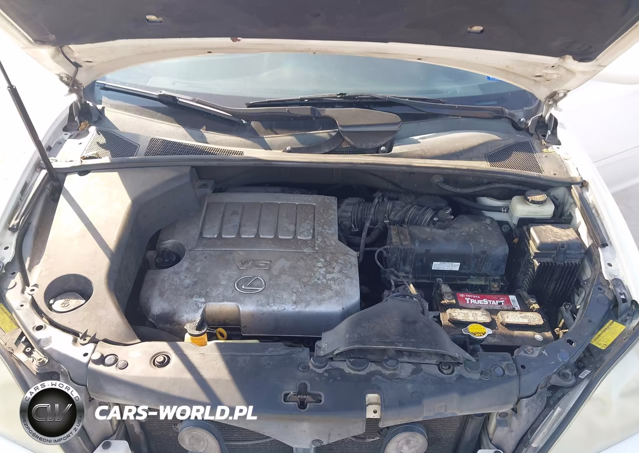 2007 Lexus Rx 350 VIN:2T2HK31U77C044329 - 10