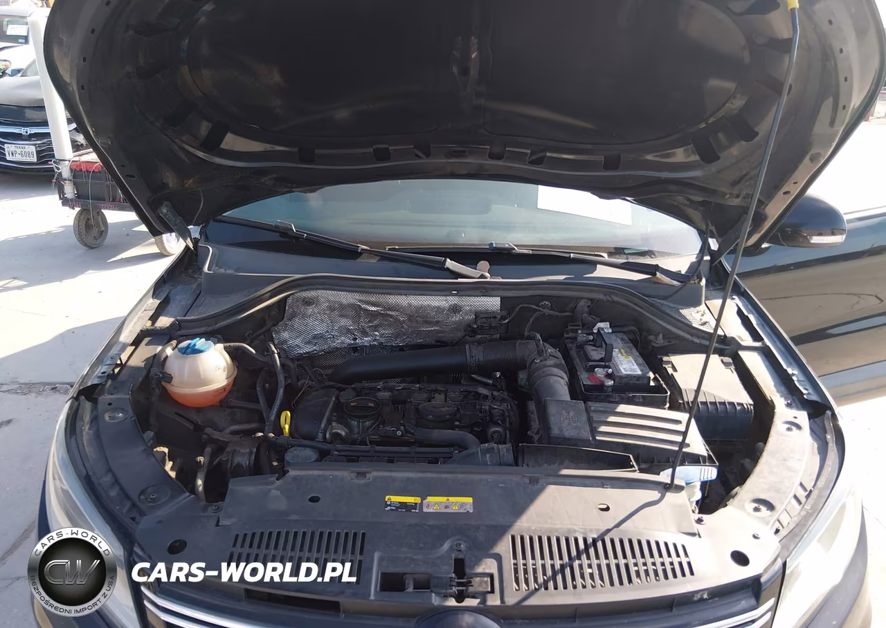 2015 Volkswagen Tiguan S VIN:WVGAV7AX5FW579241 - 10