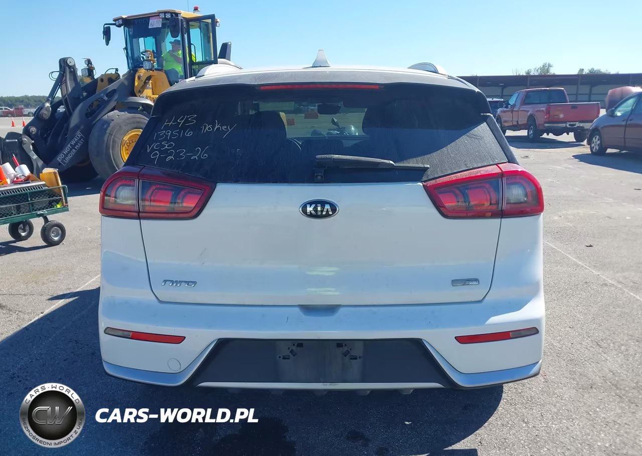 2019 Kia Niro Lx VIN:KNDCB3LC0K5217813 - 17